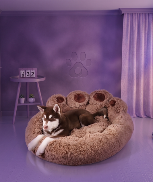 🐾 Le "Pattoune-Nuage" : Le Trône Ultime pour Siestes Extrêmes ! 🐻💤