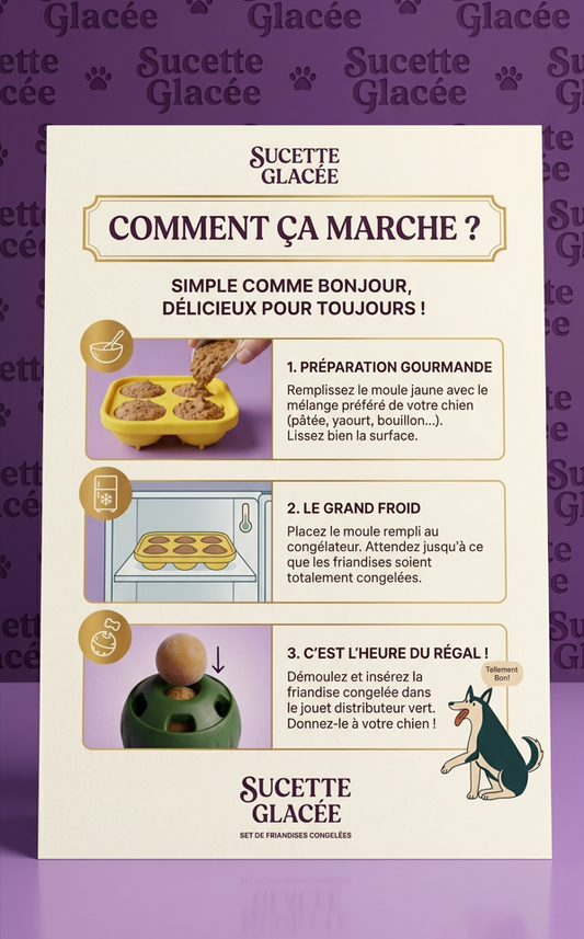 🧊 La Sucette Givrée : qui va (Enfin) Vous Donner la Paix