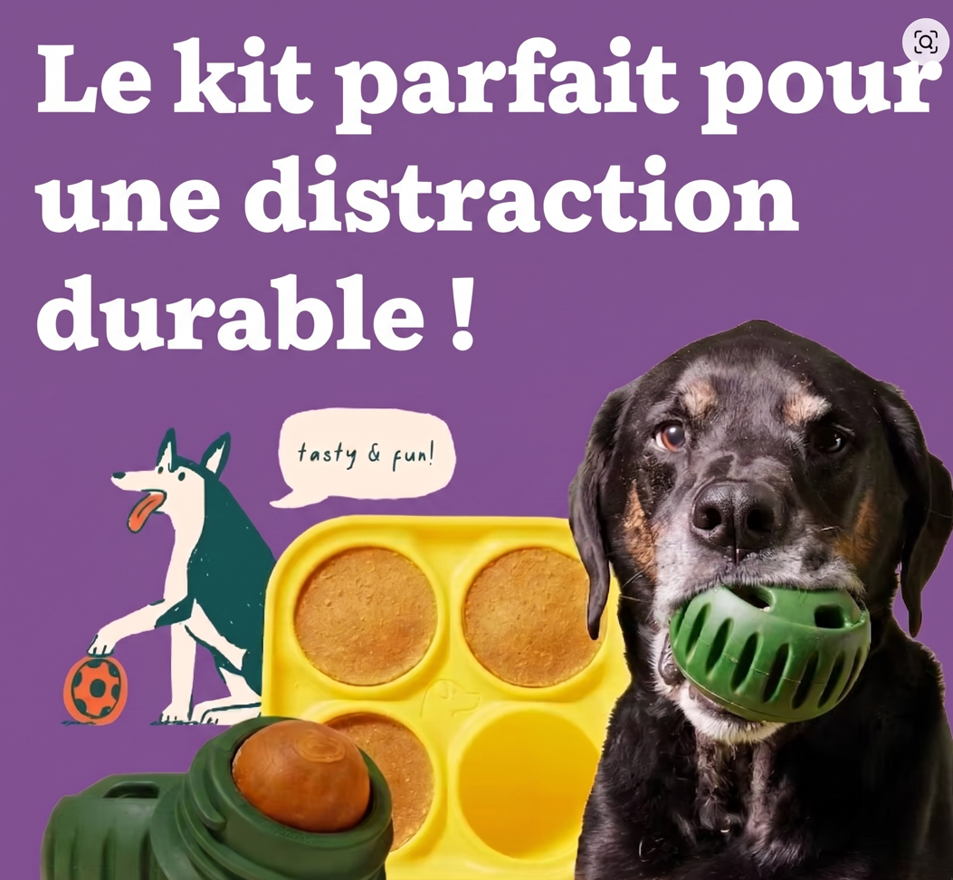 🧊 La Sucette Givrée : qui va (Enfin) Vous Donner la Paix