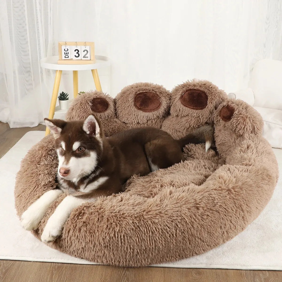 🐾 Le "Pattoune-Nuage" : Le Trône Ultime pour Siestes Extrêmes ! 🐻💤